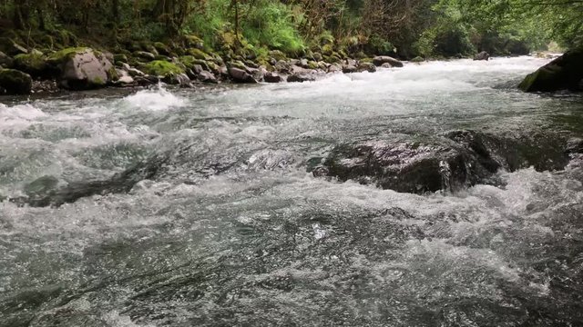 fast flowing river (firtina deresi )  forest and mountain, from rize turkey
