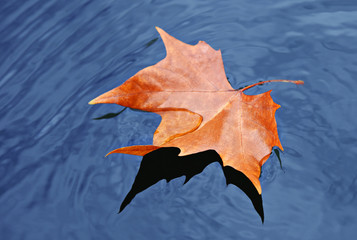 Herbst