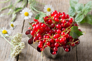 Red currant in bowl