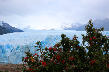Glacier Perito Moreno