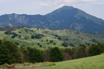 Fototapeta na wymiar Montagne (Italia)