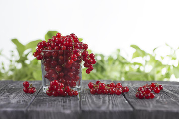 Red currant in a glass on a wooden table