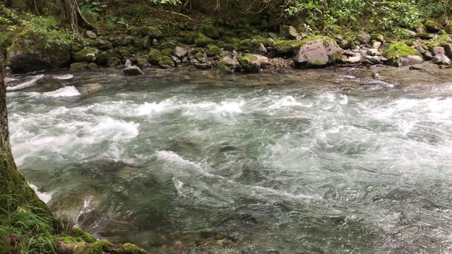 Fast flowing river.( firtina deresi ) from rize, turkey