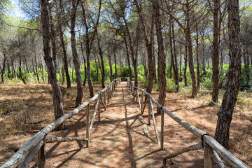 Ribera (Agrigento) - Riserva Naturale Foce del Platani 