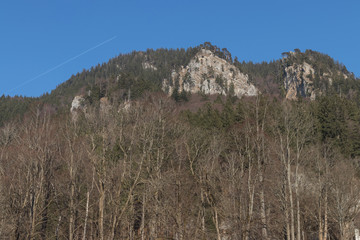 Fototapeta na wymiar Bewaldete Berge am Schliersee