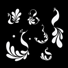 Fototapeta premium Peacock logo