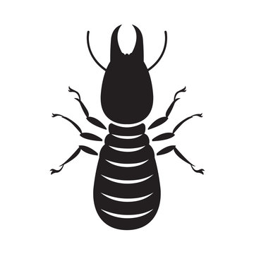 graphic termite, vector