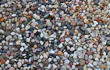 Pebble ground pattern, gray round gravel floor material, black soil circle surface, natural garden land backdrop, grey stone wall background, white marble rock soil texture.