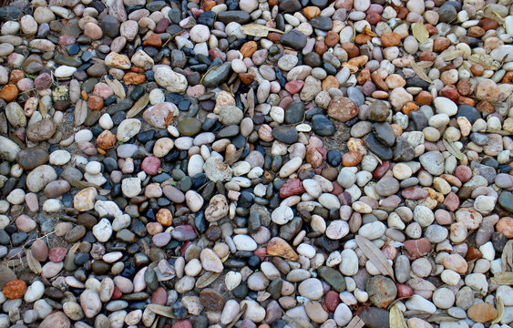 Fototapeta Pebble ground pattern, gray round gravel floor material, black soil circle surface, natural garden land backdrop, grey stone wall background, white marble rock soil texture.