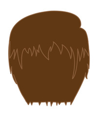 Man Hairstyle Vector