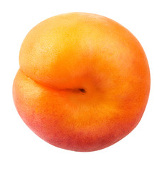 Frash apricot isolated on white background