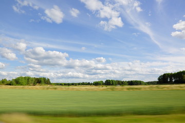 Beautifiull view on a field on a summer day