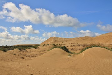 Sand dunes in Denmark. Rubjerg Knude, west coast.