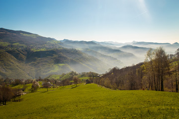 Obraz premium Spring is coming in the valley