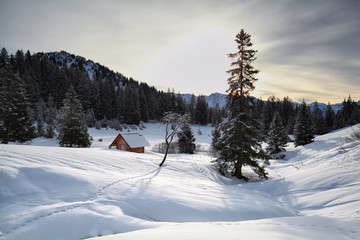 Fototapeta na wymiar wooden cabin in snowy Alps