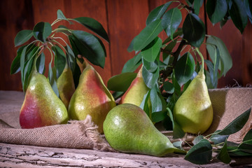 A bunch of ripe pears lying on the cloth toned.