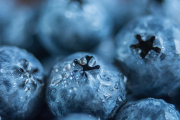 Wet fresh Blueberry background. Studio macro shot