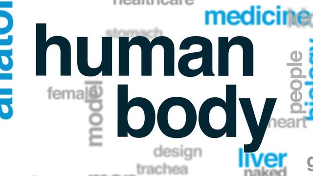 Human body animated word cloud, text design animation.