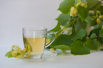 Linden tea in glass mug.