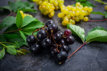 Close up bunch of black grapes and other sorts of berries, green leaves with water drops on the dark concrete background. Selective focus.
