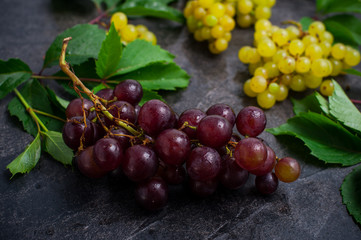 Close up bunch of red grapes and other sorts of berries, green leaves with water drops on the dark concrete background. Selective focus.