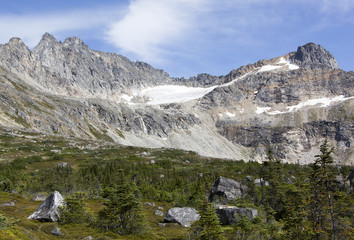 Obraz premium Alaska's Wilderness Scenics