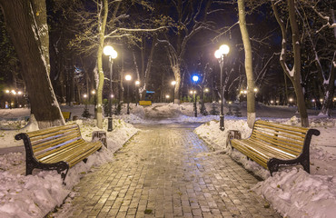 Fototapeta na wymiar Winter night landscape- bench under trees and shining street lights falling snowflakes.