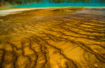 Hot Springs, Yellowstone