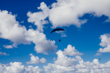 .Photograph of extreme sport. Image of people flying on paragliding on a sunny and somewhat cloudy day with a blue background in summer. Lifestyle picture.