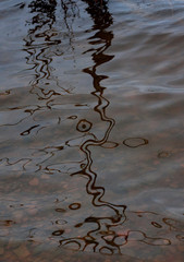 Abstract reflections in water