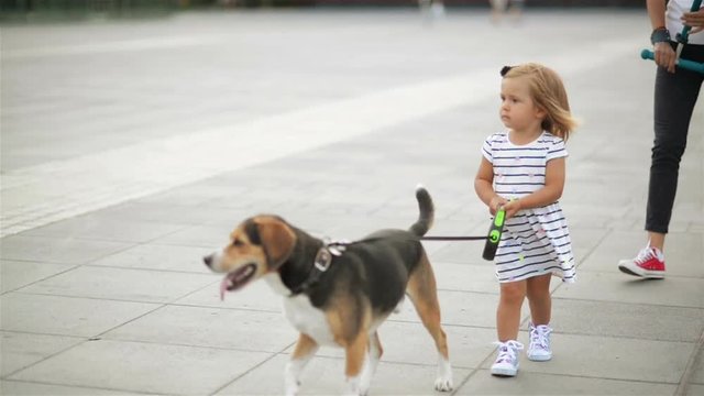 Little Cute Girl Walks with Her Beagle Dog across the City Square Keeping Pet on Leash.