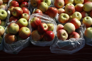 Organic apples for sale during the Saturday Farmers Market