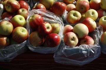 Organic apples for sale during the Saturday Farmers Market