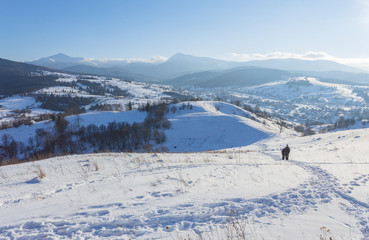 Fototapeta na wymiar beautiful Winter landscape