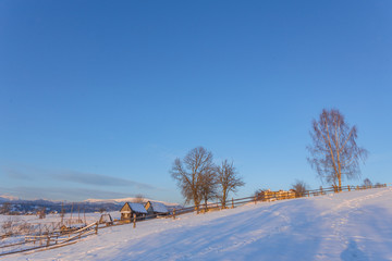 Winter landscape with lots of snow and trees