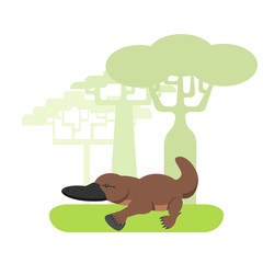 Platypus dwells in Australia, painted in a flat style on a white background