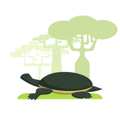 Turtle painted in a flat style on a white background