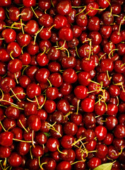 fresh cherries in the market