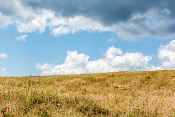 Harvested wheat field