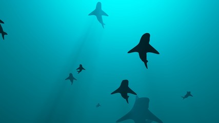 School of sharks swimming in blue water. 3d rendering. Bottom view from underneath
