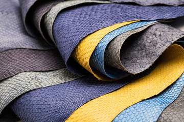 Colorful Leather samples.