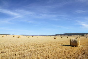 Fototapeta na wymiar Bales of hay