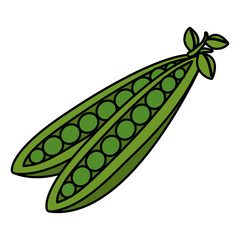 string bean fresh isolated icon vector illustration design