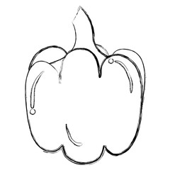 pepper fresh isolated icon vector illustration design