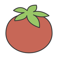 tomato fresh isolated icon vector illustration design