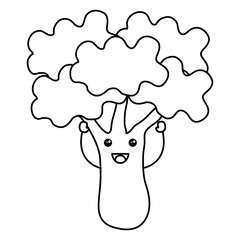 broccoli fresh kawaii character vector illustration design