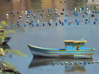 Blue fishing boat anchored in calm waters in the cove of Jurujuba, Rio de Janeiro, Brazil © SuelenVargas