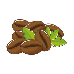 coffee bean and leaves icon over white background vector illustration