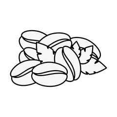 coffee bean and leaves icon over white background vector illustration