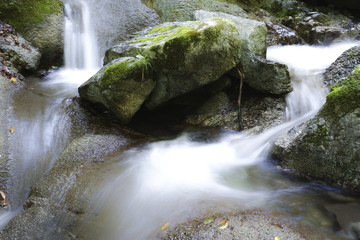 西丹沢本棚の滝
